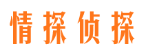 岳塘侦探公司